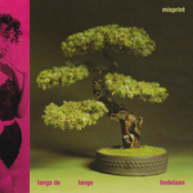 Langs de Lange Lindelaan