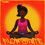 FLOW STATE