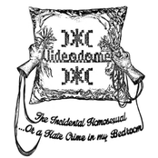 The Incidental Homosexual… Or, a Hate Crime in My Bedroom