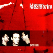 Beduine by David Orlowsky's Klezmorim