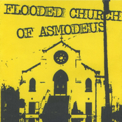 Church of the Wrong / ... and Forest Still Cry