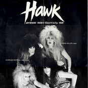 hawk