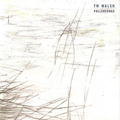 Prisoner Of War by Tw Walsh