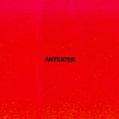 Anteater