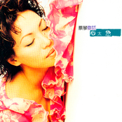 Tsai Chin Xin Tai Ji