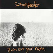Wrote You Off by Screamfeeder