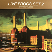 Live Frogs Set 2