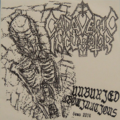 Cadaveric Incubator: Unburied Abominations