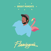 Flamingosis: Bright Moments