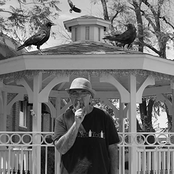 Black Crow Gazebo