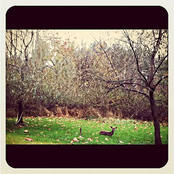 A Flare for the Turning