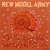 Marry The Sea by New Model Army