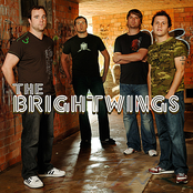 The Brightwings