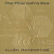 the pharaoh's bee