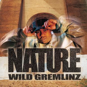 wild gremlinz