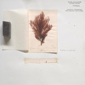 2019-2022 archival files