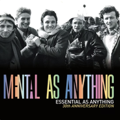 Essential as Anything (30th Anniversary Edition) [Audio Version]