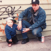 Fox Reactions Discography