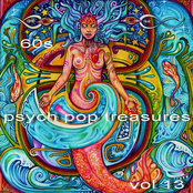 60s Psych Pop Treasures - vol 13