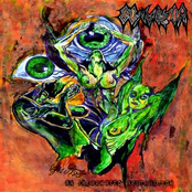 An Incarnated Abstraction