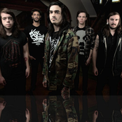 like moths to flames