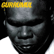 Gurrumul: Geoffrey Gurrumul Yunupingu