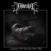 Fragmentos De Um Corpo Sem Vida