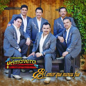 La Flor De Mis Primeros Años by Conjunto Primavera