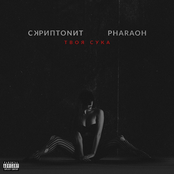 Скриптонит ft. pharaoh