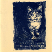 For Those... by Tindersticks