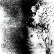 A Rapture of Blooming Revenge