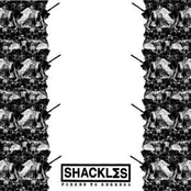 Forced To Regress LP