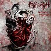 Anatomy of Extinction [Explicit]