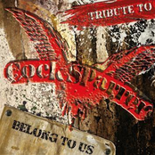 Tribute To Cock Sparrer Belong To Us