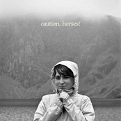 Caution, Horses!