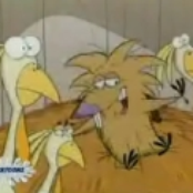 angry beavers