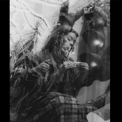 The Reason Is Fine - Single