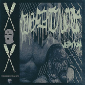 DemsFightinWords: Vexation