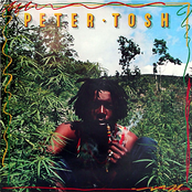 Brand New Second Hand by Peter Tosh