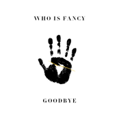 Goodbye - Single