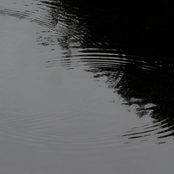 The Light Bends Inwards