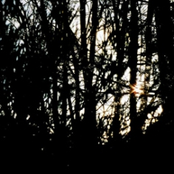 septober [q-tone 2008]