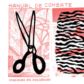 Panorama del Desarraigo