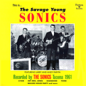 The Savage Young Sonics