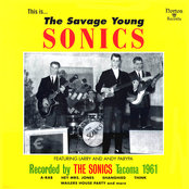 Rumble by The Sonics