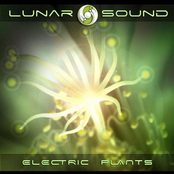 Sunscream by Lunar Sound