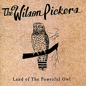 Graves Or Gold by The Wilson Pickers