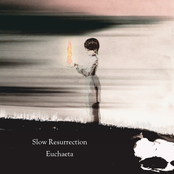 Slow Resurrection