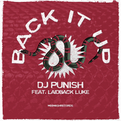 Back It Up (feat. Laidback Luke)