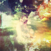 How Do You Know by Field Mouse